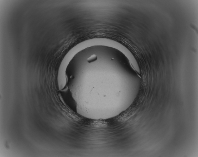 X0000094770617200712141559