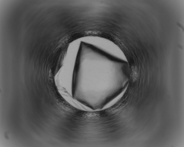 X0000094770619200712141559