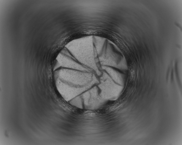 X0000094770620200712141559