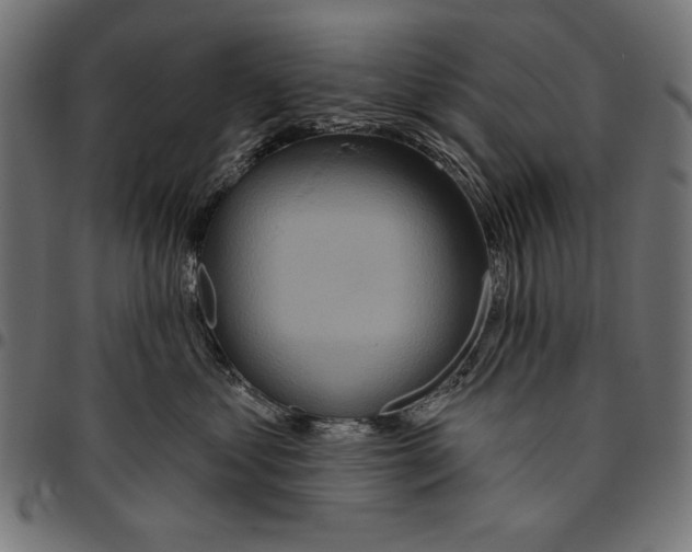 X0000094770621200712141559