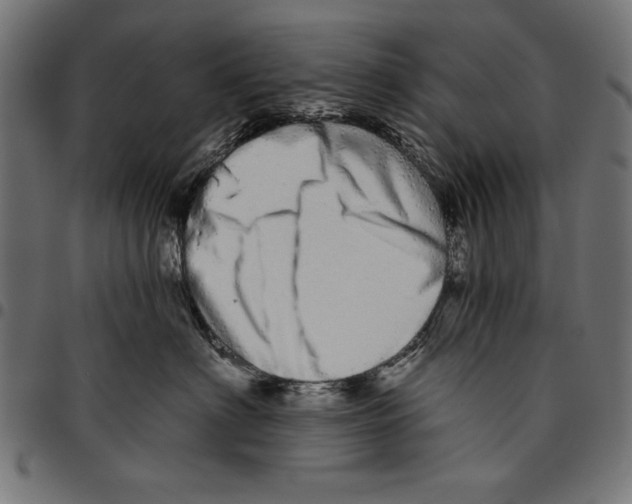 X0000094770622200712141559