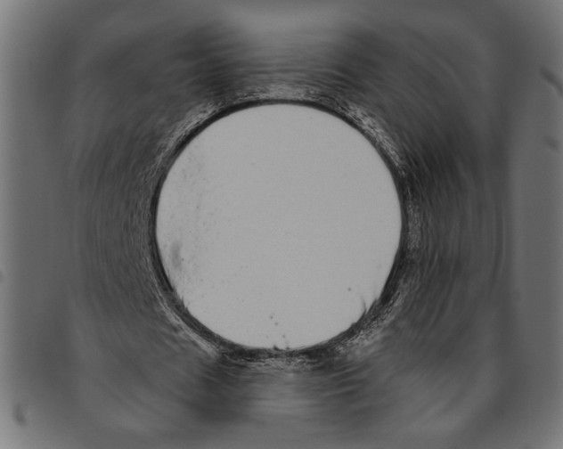 X0000094770625200712141558