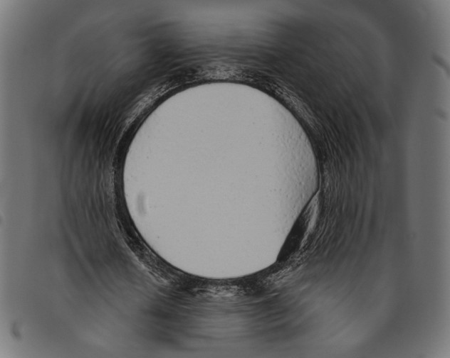 X0000094770626200712141558