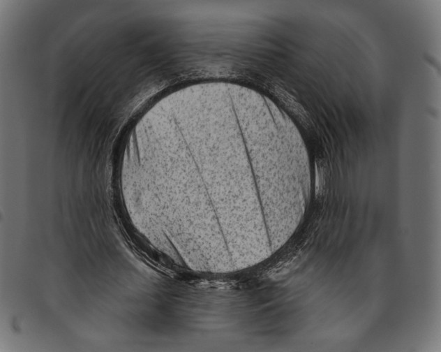 X0000094770627200712141558