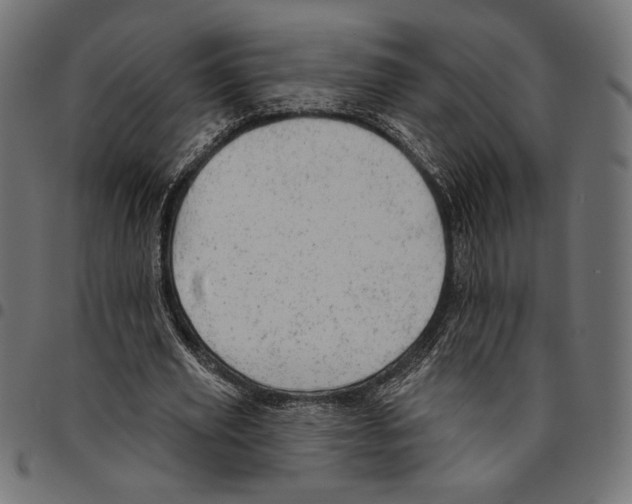 X0000094770629200712141558