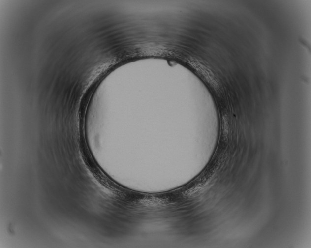 X0000094770630200712141558