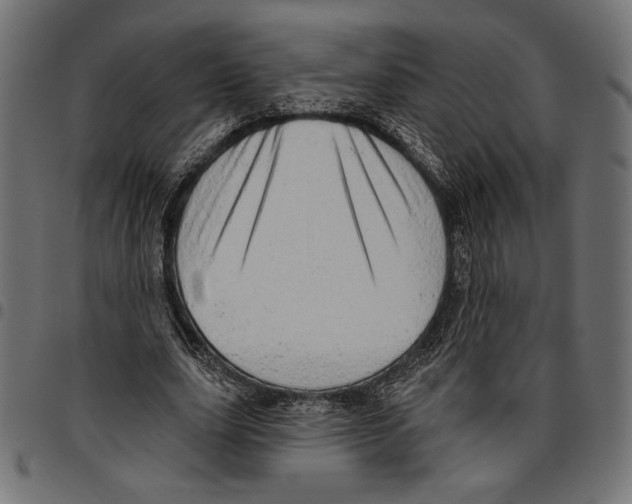 X0000094770631200712141558