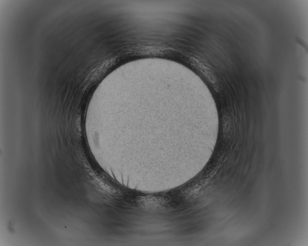 X0000094770633200712141558