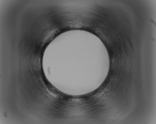 X0000094770638200712141558