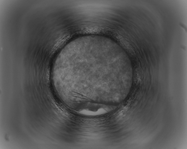 X0000094770640200712141558