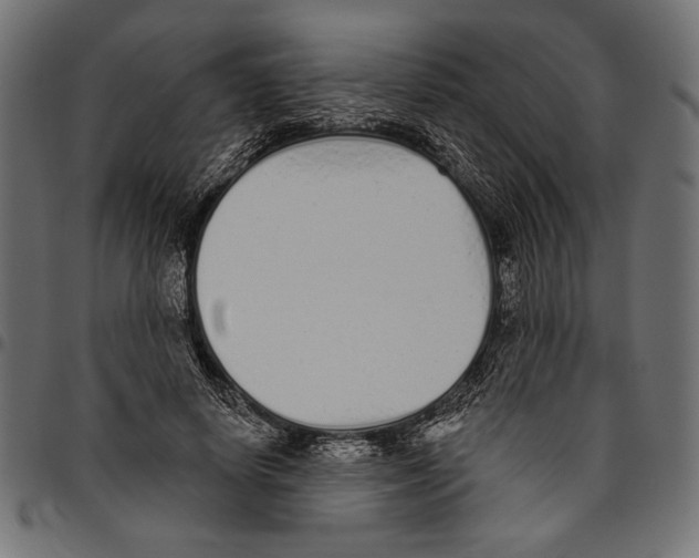 X0000094770642200712141558