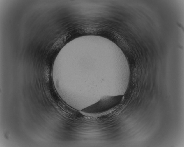 X0000094770644200712141558