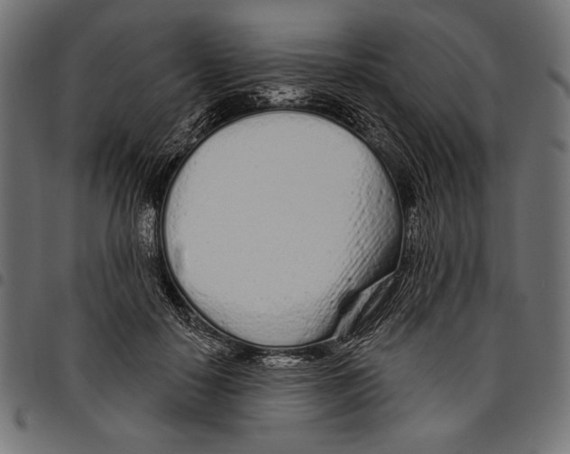 X0000094770650200712141559