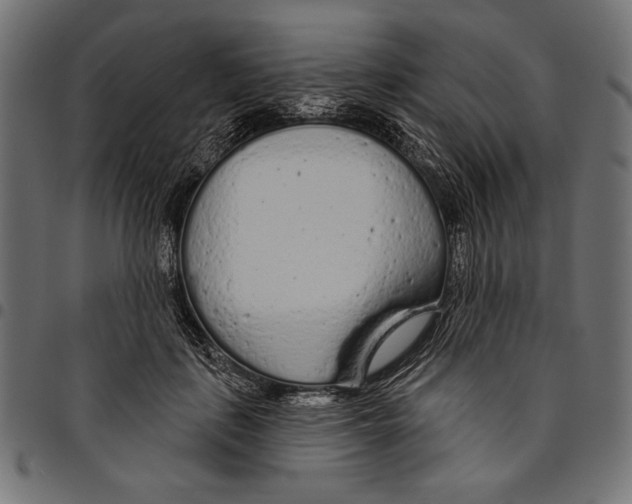 X0000094770651200712141559