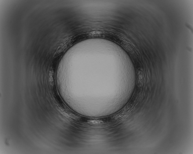 X0000094770654200712141559