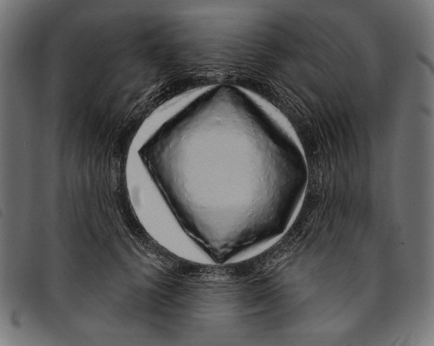 X0000094770656200712141559