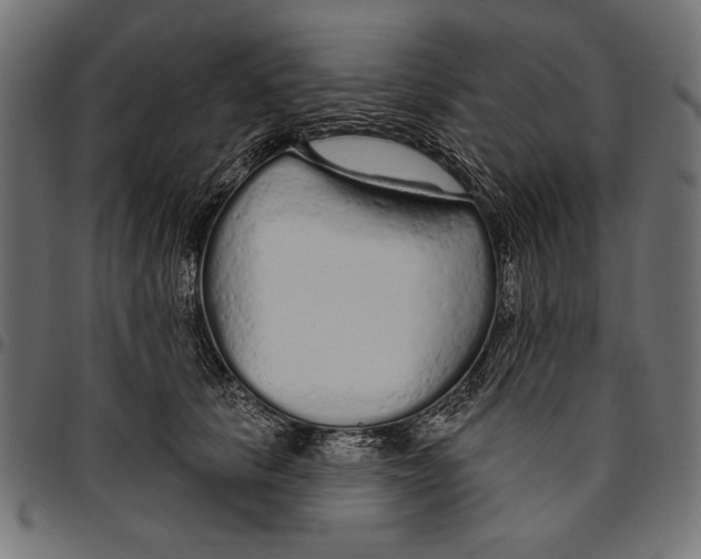 X0000094770657200712141559