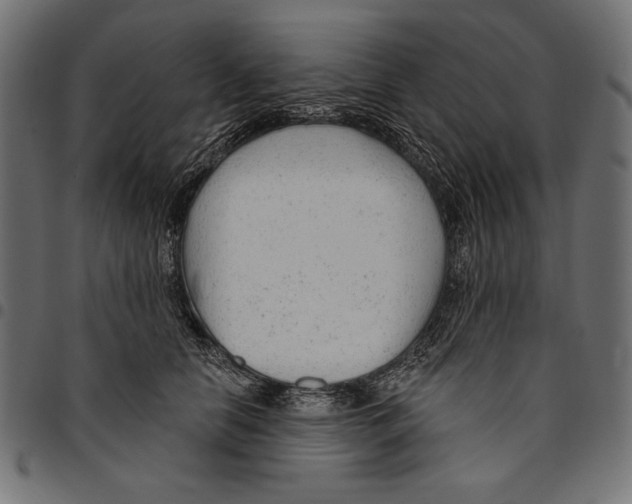 X0000094770658200712141559