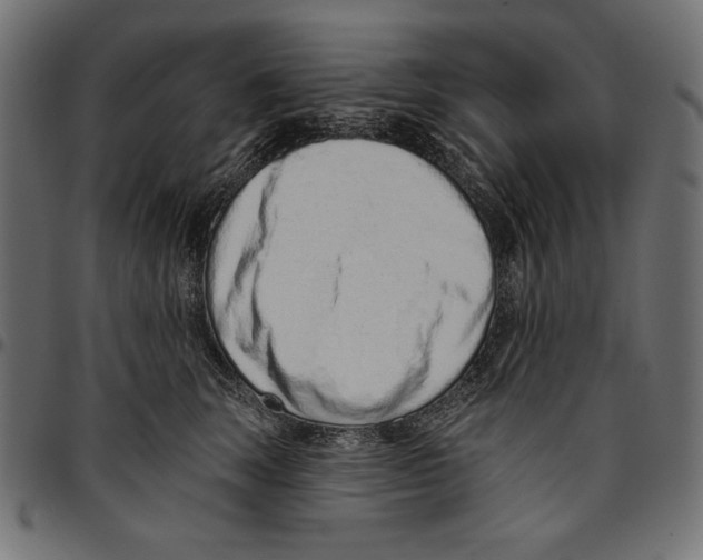 X0000094770663200712141559