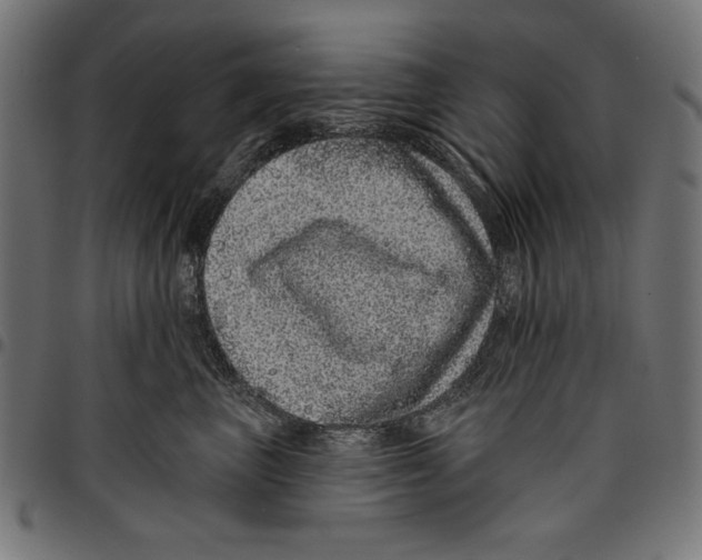 X0000094770667200712141559