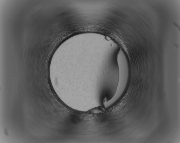 X0000094770673200712141558