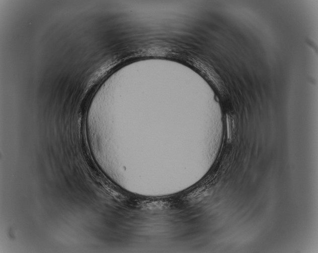 X0000094770675200712141558