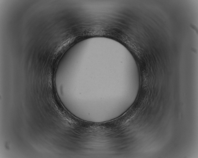 X0000094770681200712141558