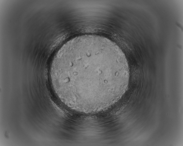 X0000094770683200712141558