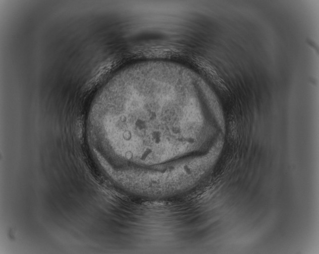 X0000094770687200712141558