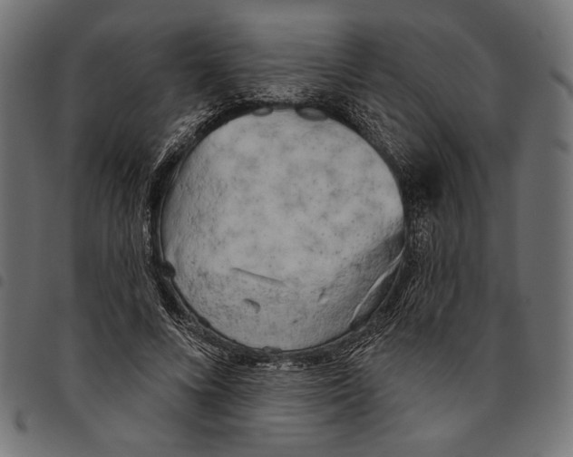 X0000094770688200712141558