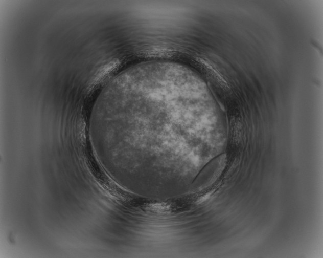 X0000094770692200712141558