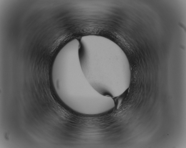 X0000094770693200712141558