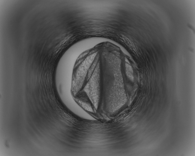 X0000094770697200712141558