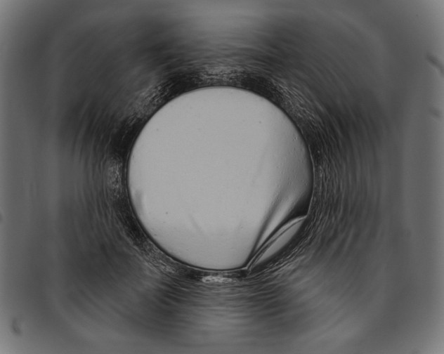 X0000094770699200712141558