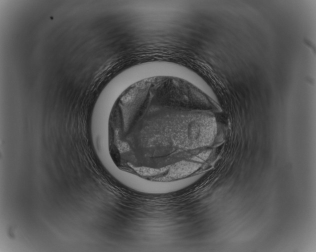 X0000094770705200712141558