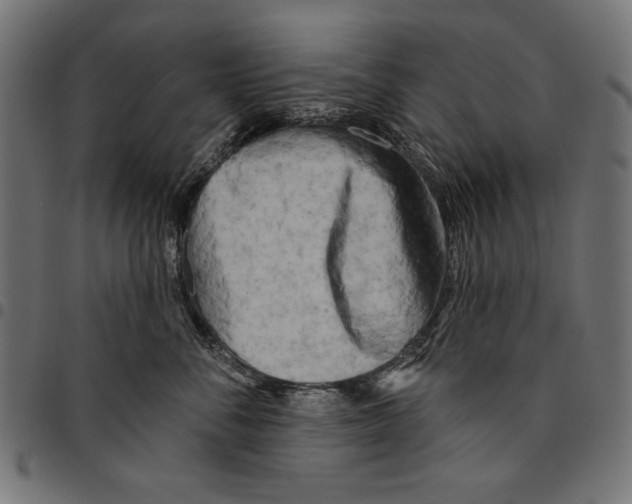 X0000094770716200712141558