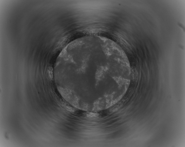 X0000094770718200712141558