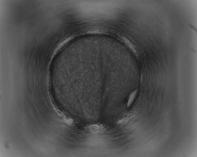 X0000094770724200712141557