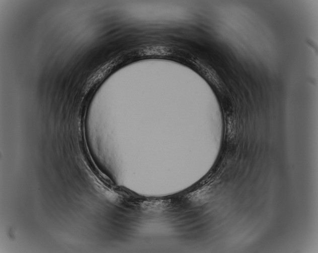 X0000094770725200712141557