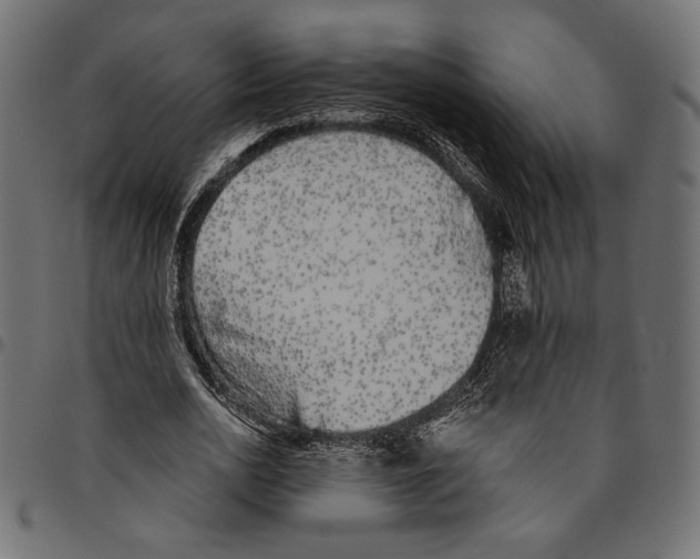 X0000094770726200712141557