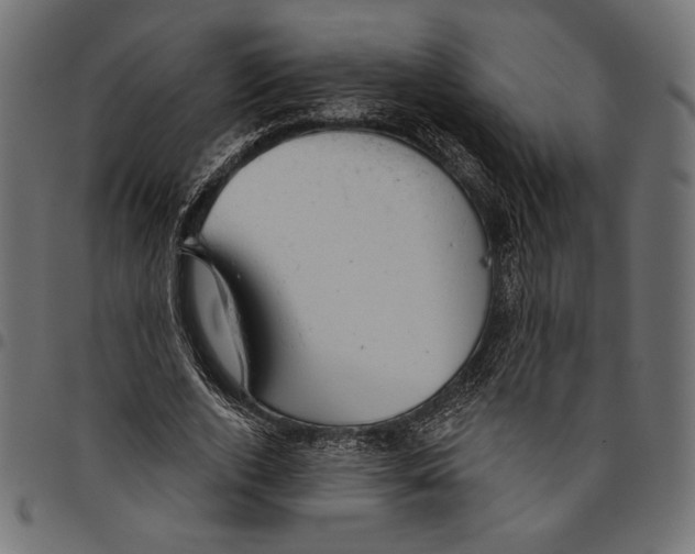 X0000094770728200712141557