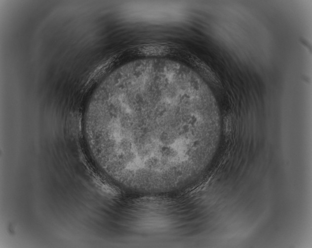 X0000094770733200712141557