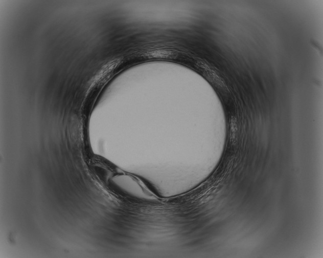 X0000094770734200712141557