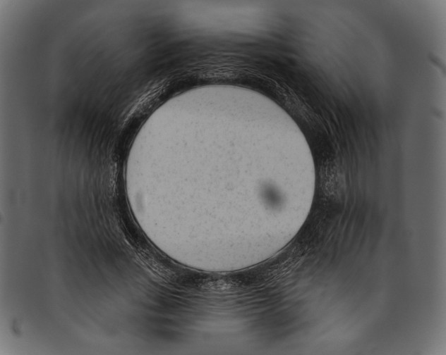 X0000094770735200712141557