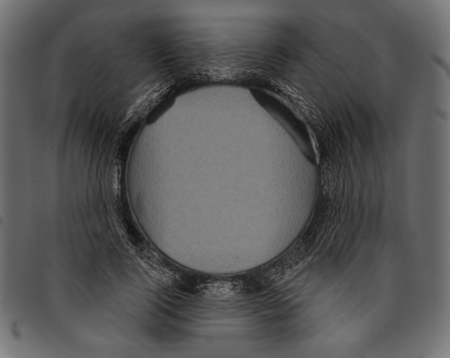 X0000094770740200712141557