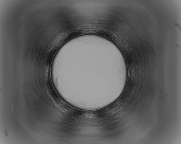 X0000094770742200712141557