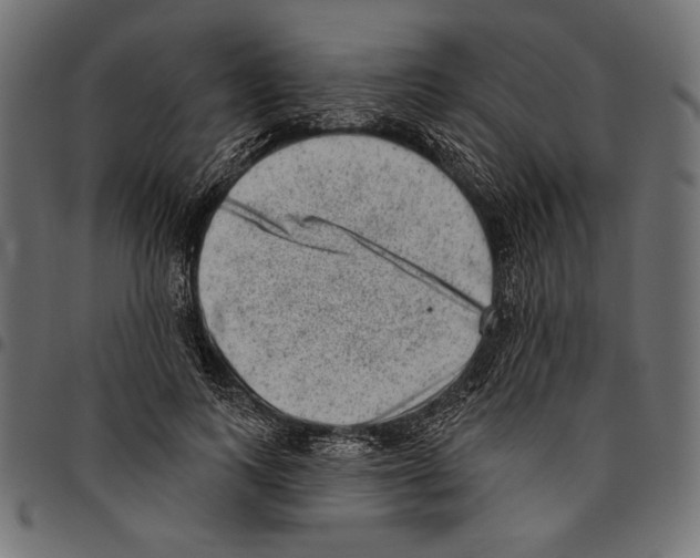 X0000094770743200712141557