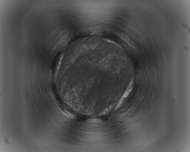 X0000094770748200712141557