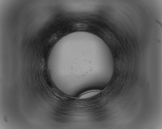 X0000094770752200712141557