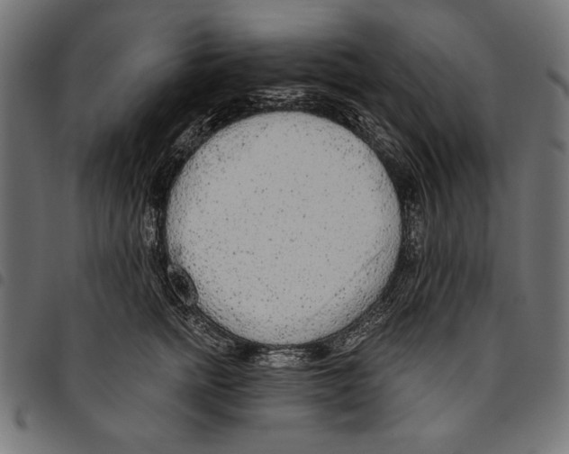 X0000094770758200712141557